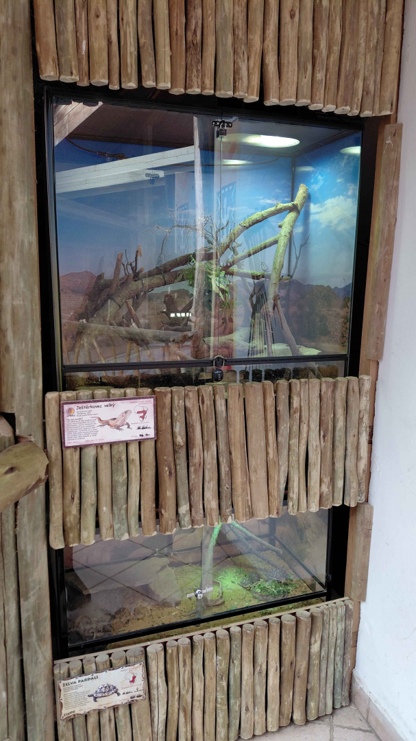 Terrariums inside the giraffe house