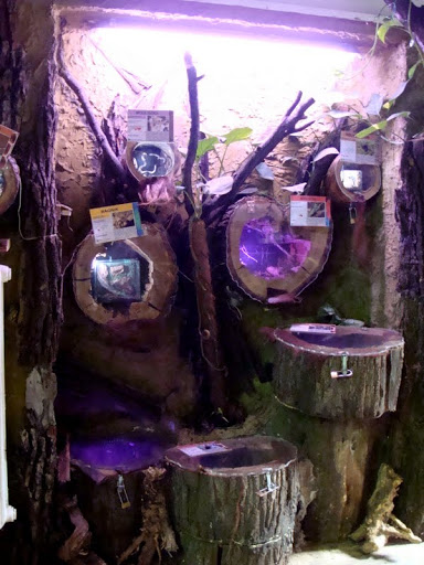 Terrariums of insects