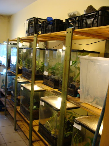 Terrariums on the back