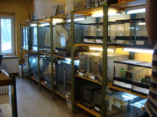 Terrariums on the back