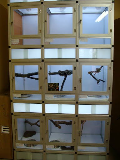 Terrariums on the back