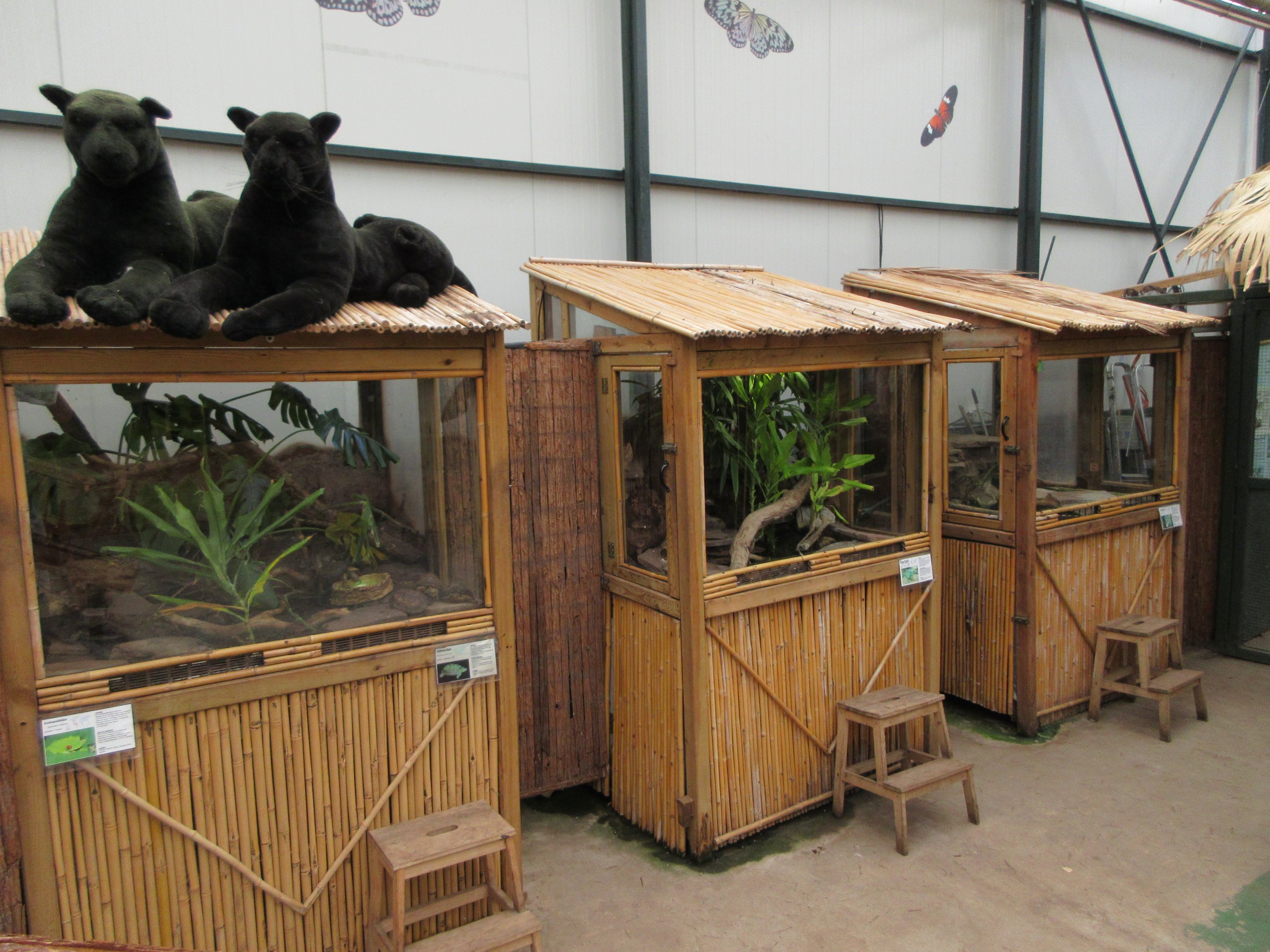 Terrariums (poison dart frogs, etc.)