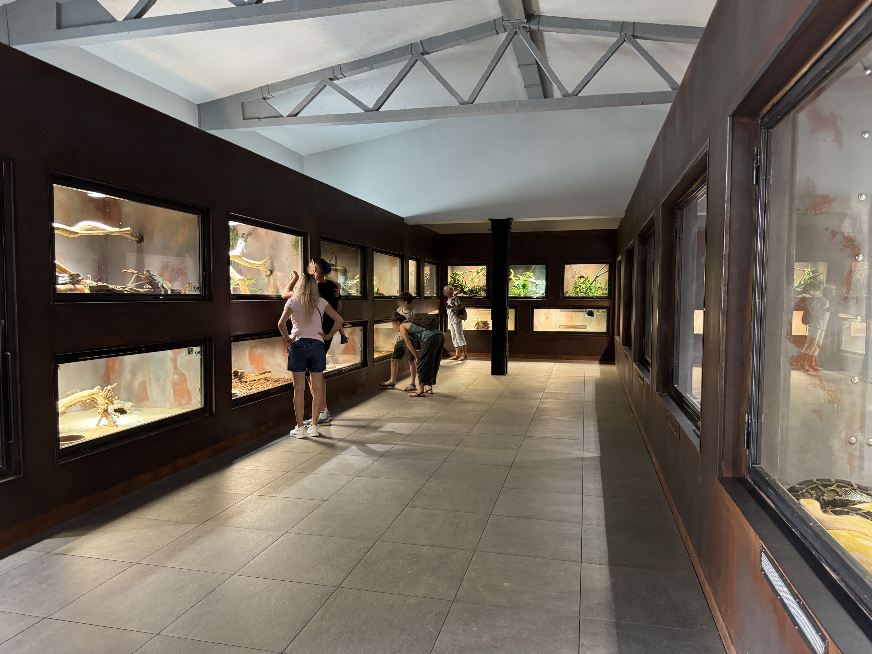 Terrariums - Terrarium Staré Město