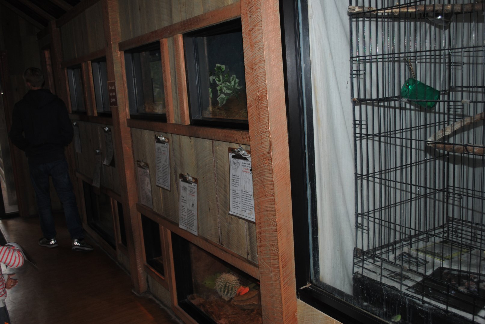 Terrariums (The Bayou Pavilion)