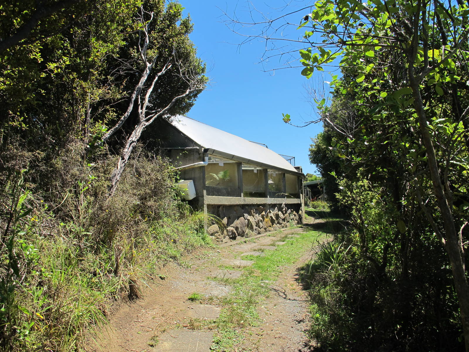 Terrariums - Ti Point Reptile Park 2012