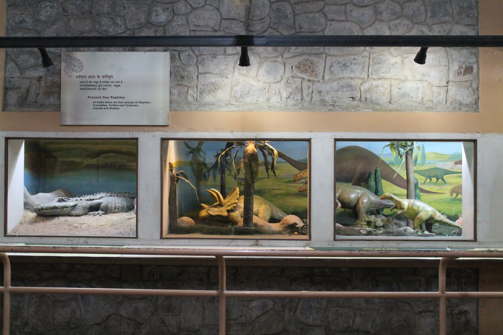 terrariums with reptile and dinosaur models