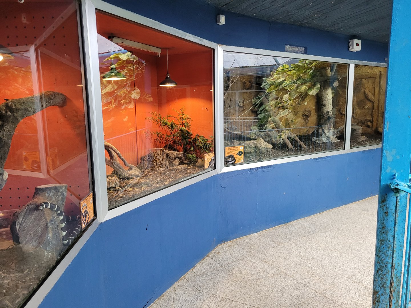 Terrariums -Zoo de Santillana del Mar (2023)