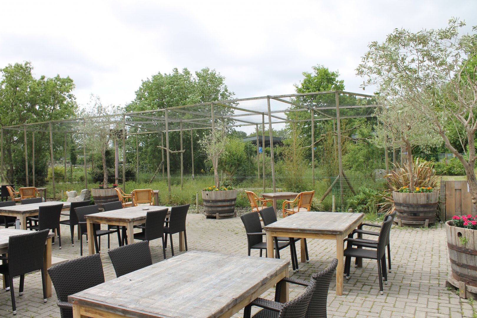 Terras and Barn owl aviary