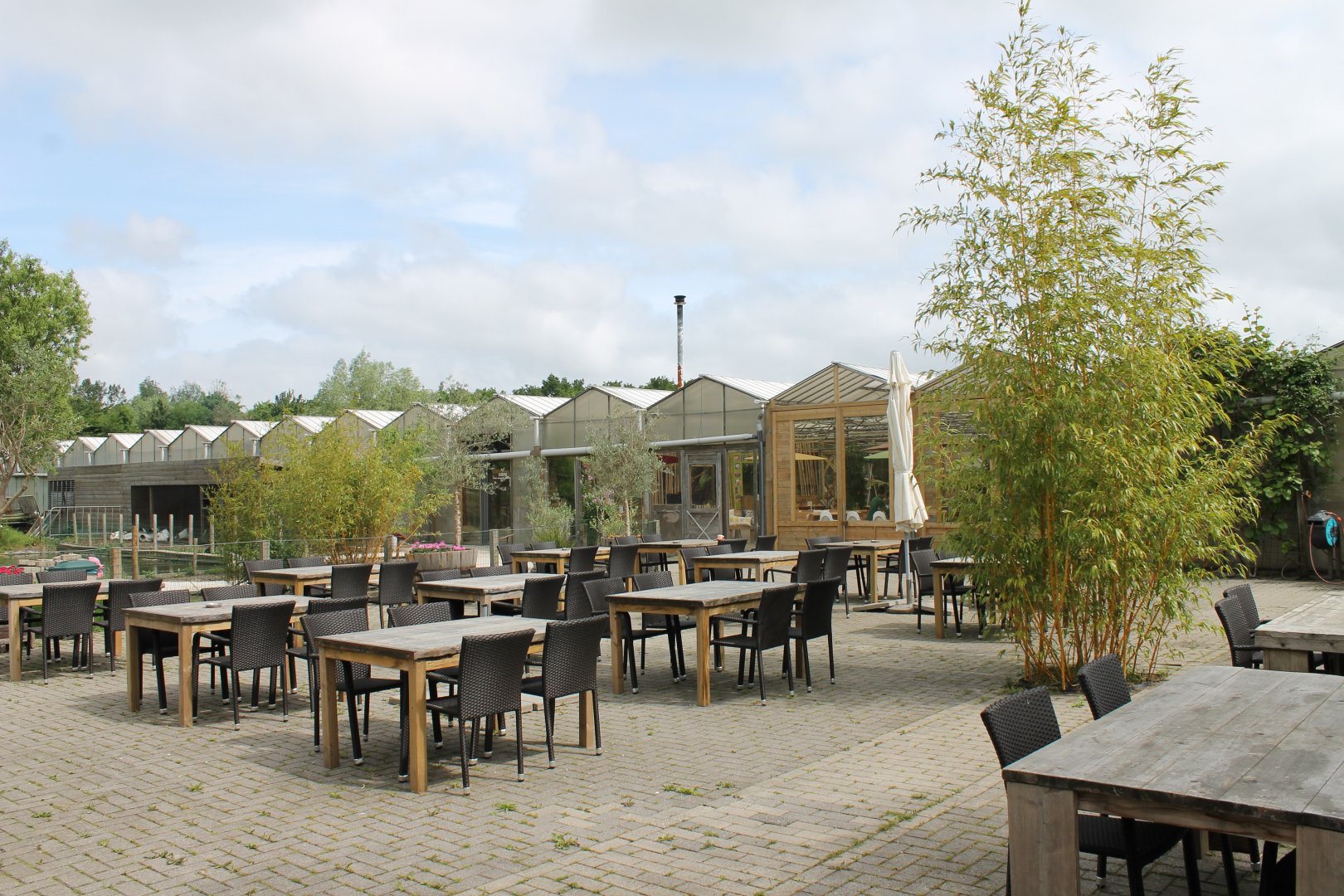 Terras and view on Almere Jungle