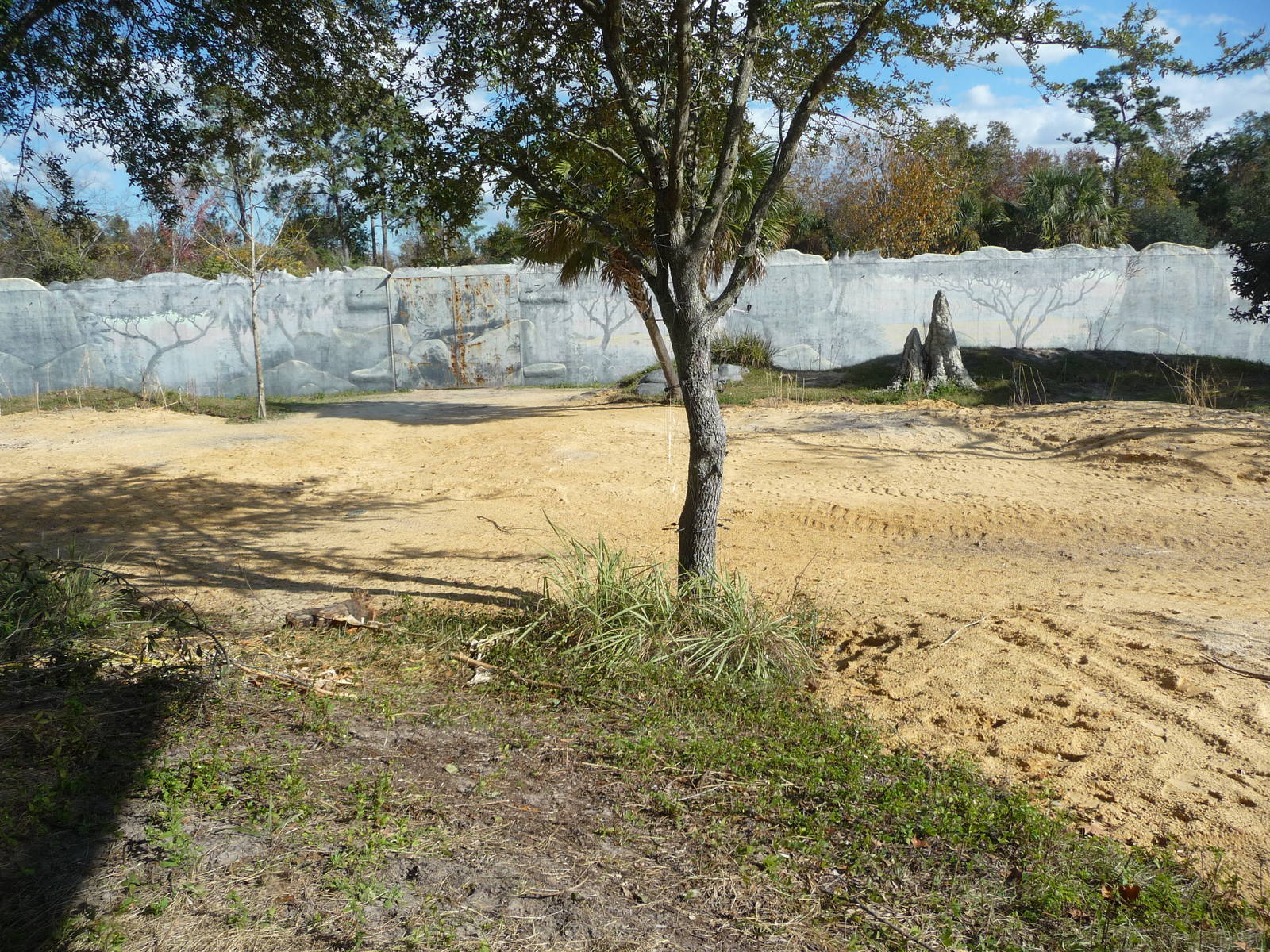 Terrible Gorilla Exhibit