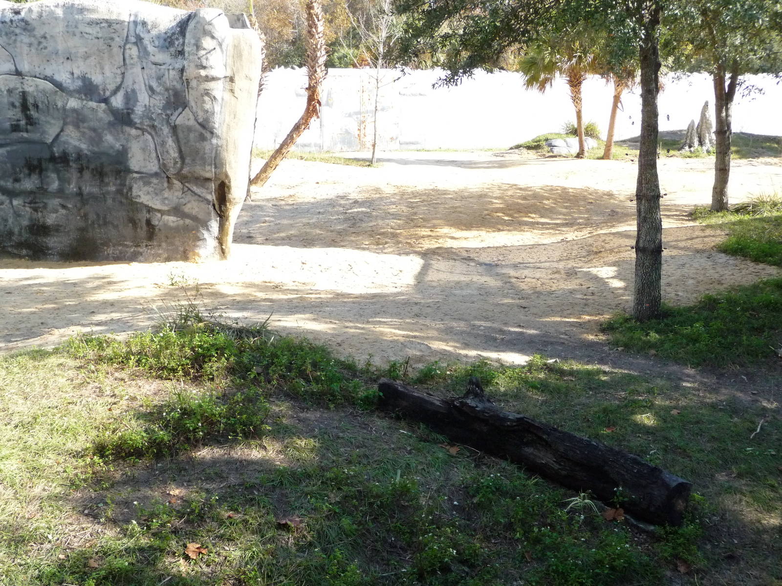 Terrible Gorilla Exhibit