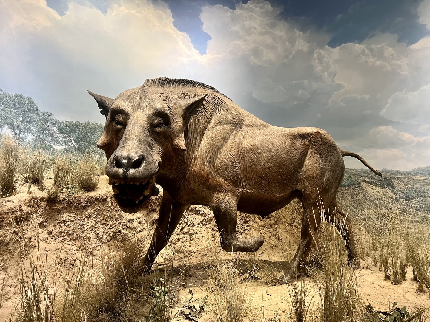 Terrifying Beast on the Tomb of an Inland Sea