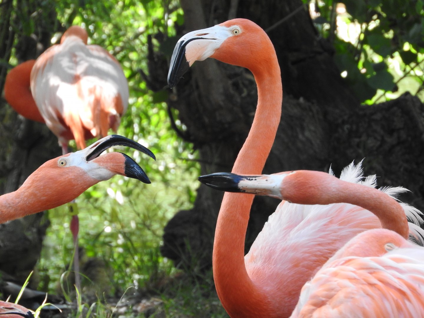 Territorial dispute under watch