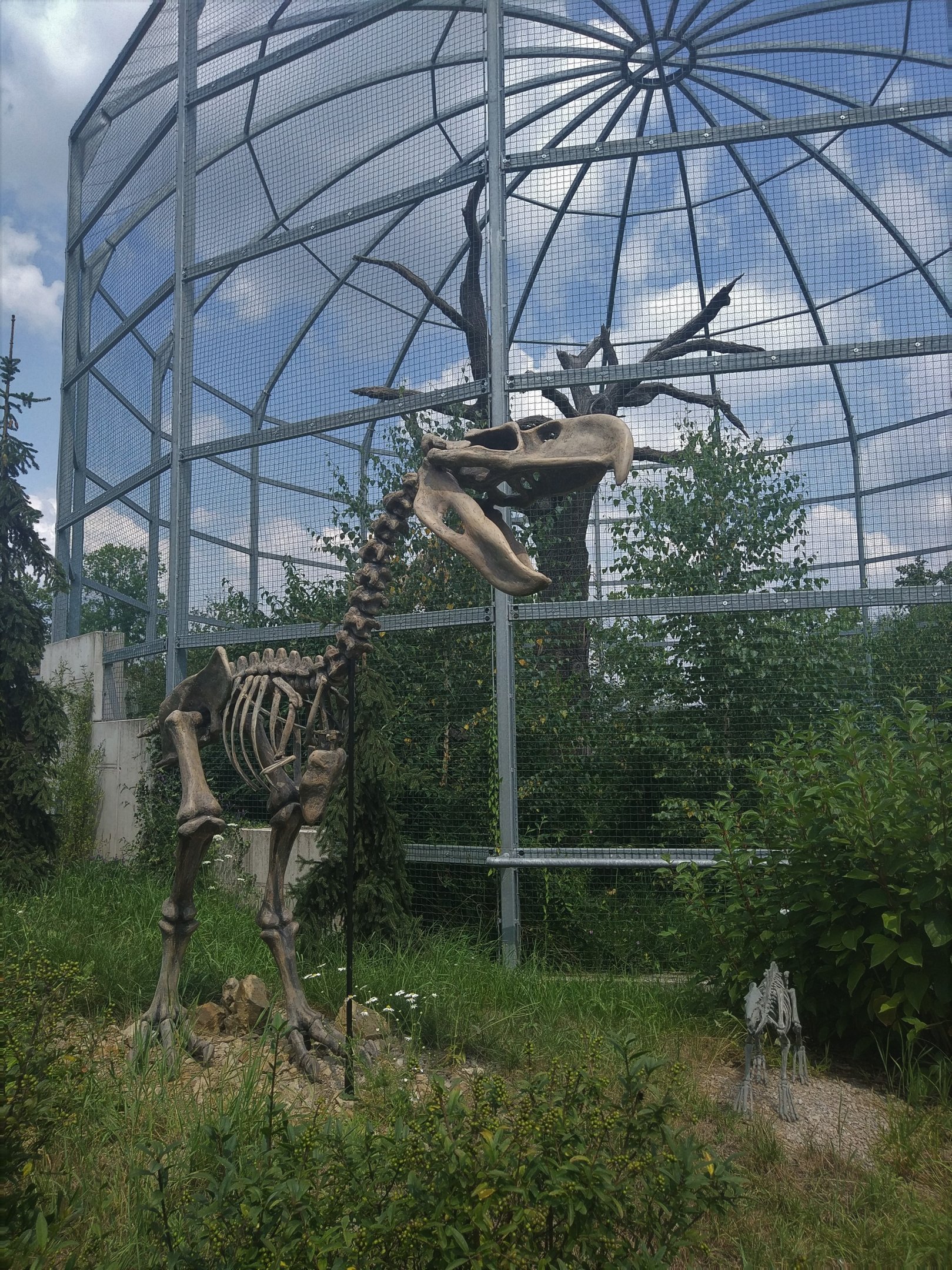 Terror Bird Skeleton