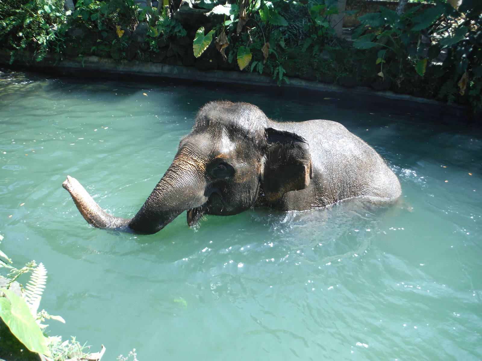 Terry having a good time.