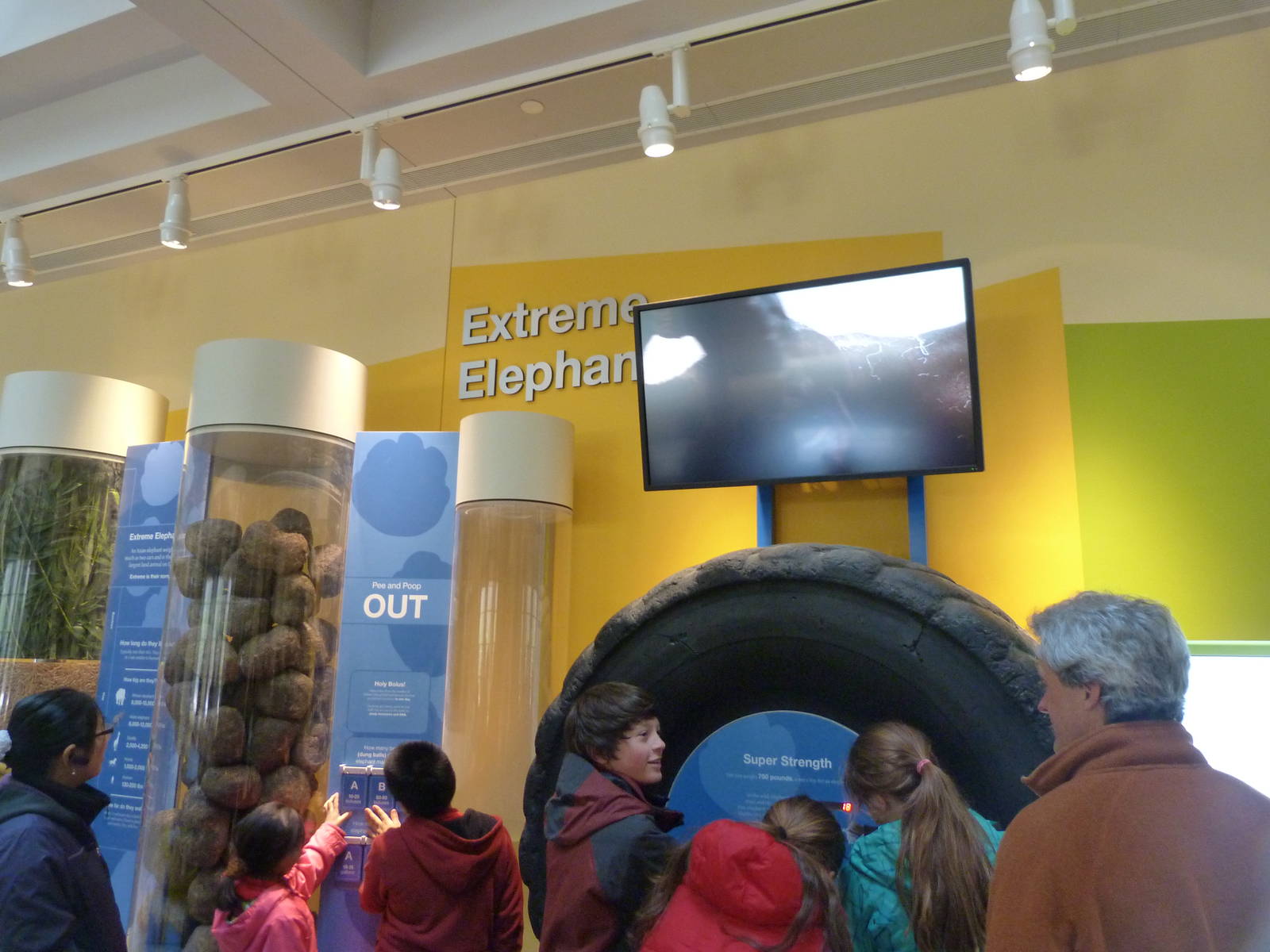 Test Your Strength: Elephant Community Center