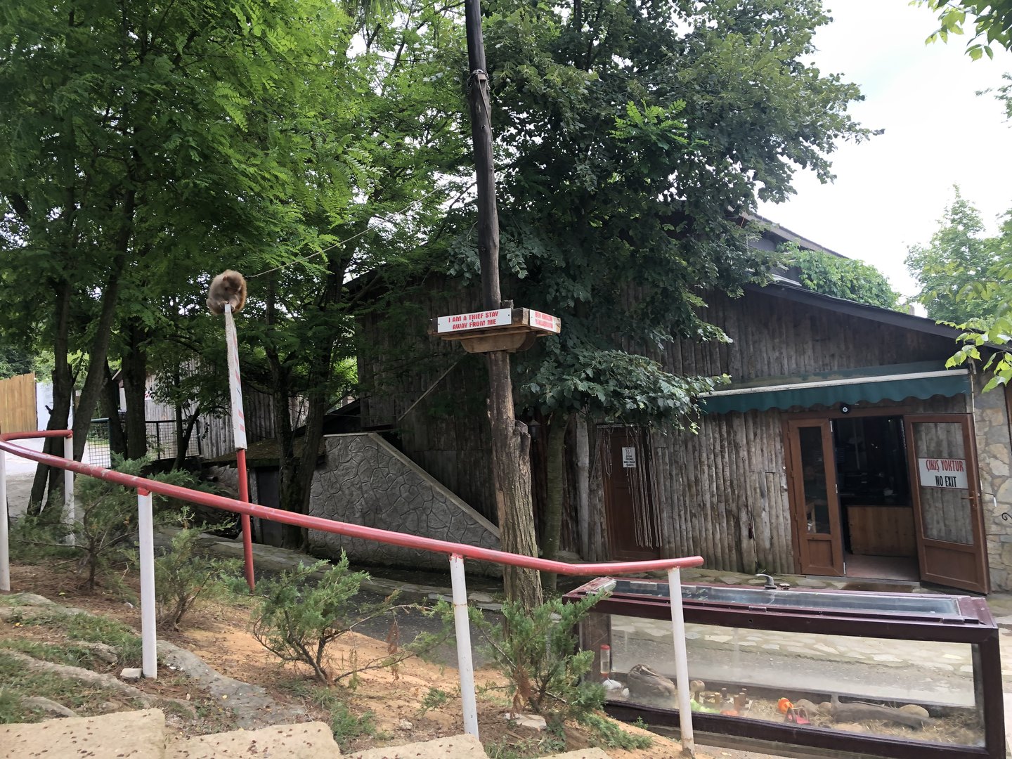 Tethered Monkey and Hamster Cage