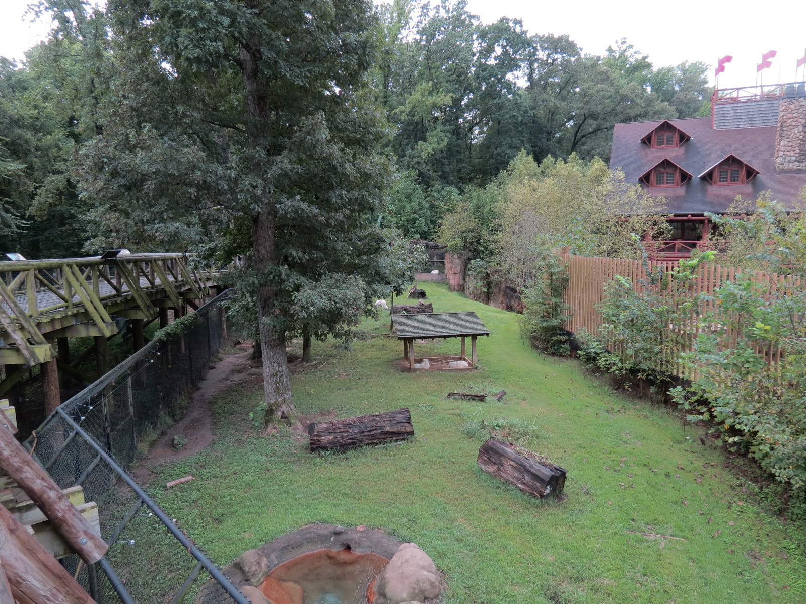 Teton Trek - Gray Wolf Exhibit