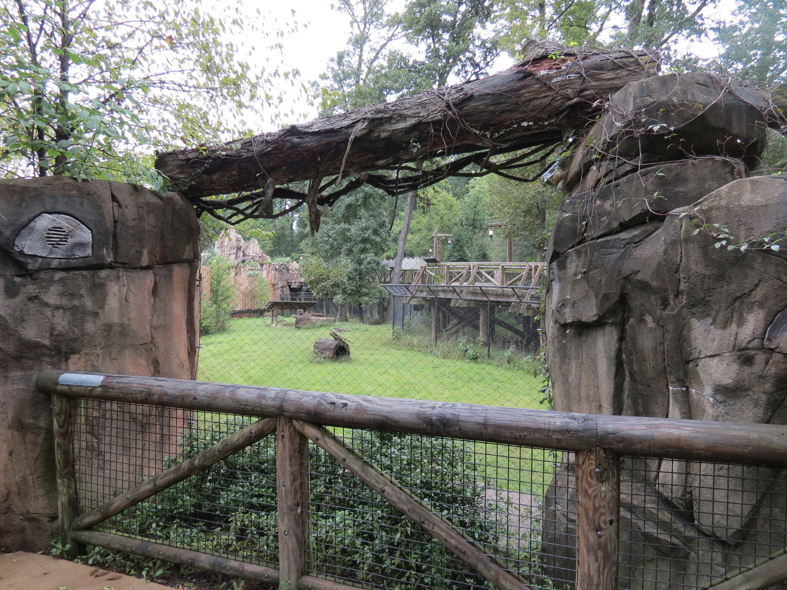 Teton Trek - Gray Wolf Exhibit