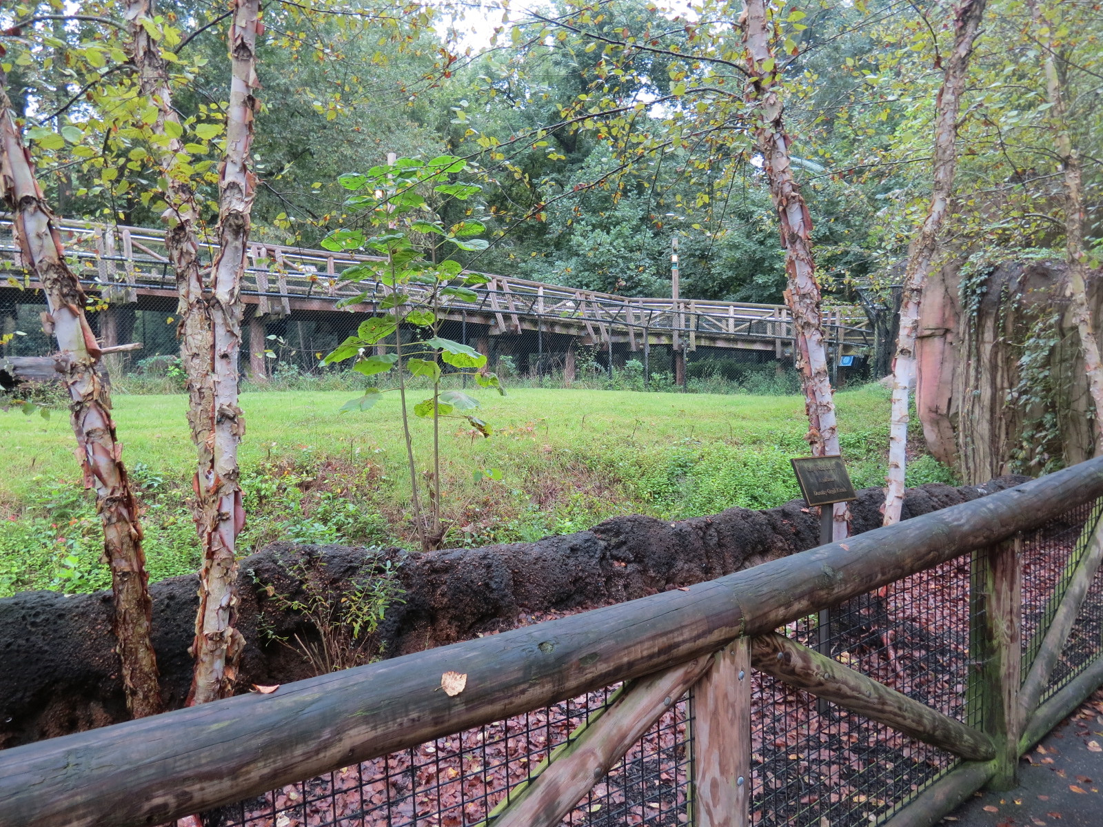 Teton Trek - Gray Wolf Exhibit