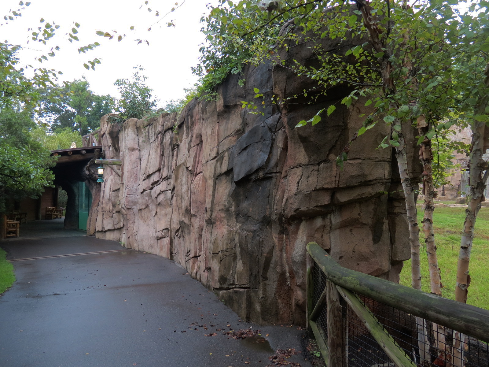 Teton Trek - Grizzly Bear Exhibit Path