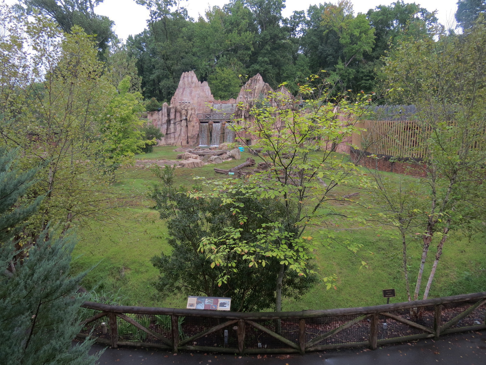 Teton Trek - Grizzly Bear Exhibit