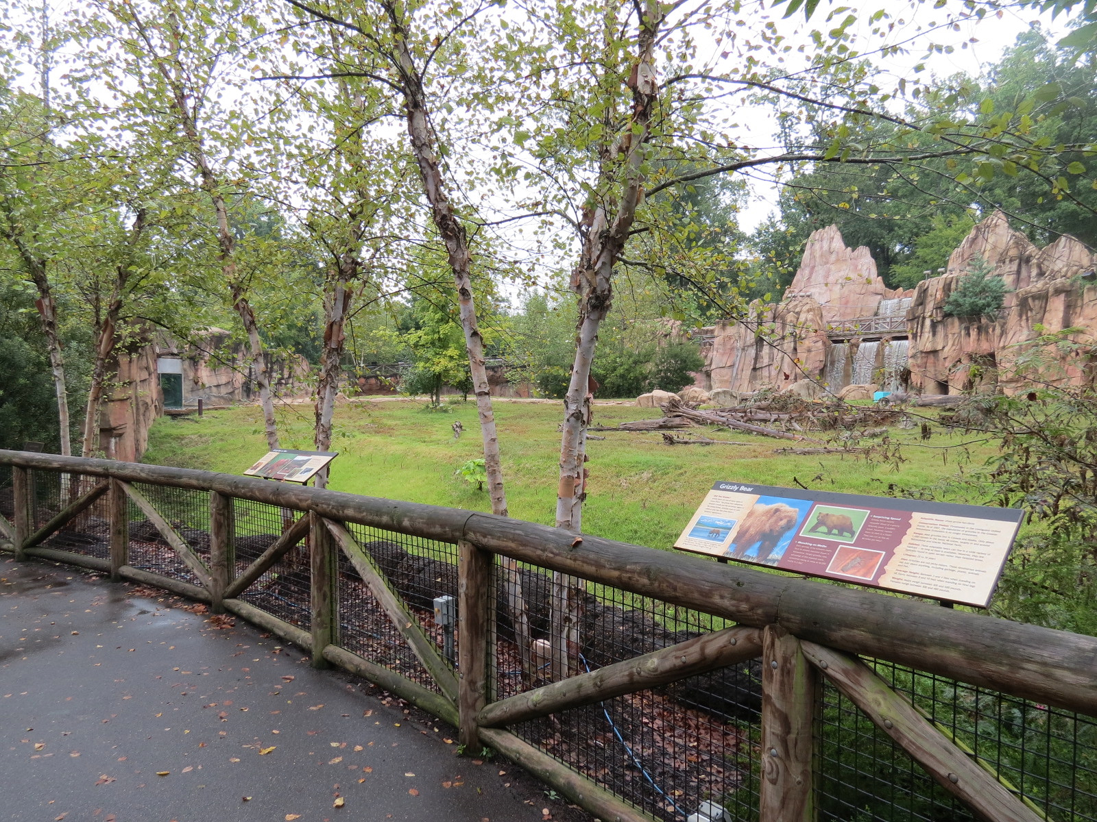 Teton Trek - Grizzly Bear Exhibit