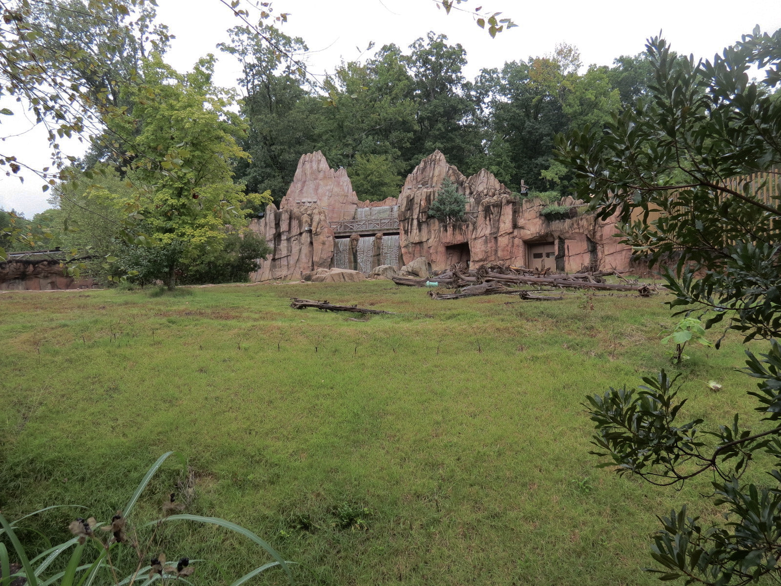 Teton Trek - Grizzly Bear Exhibit