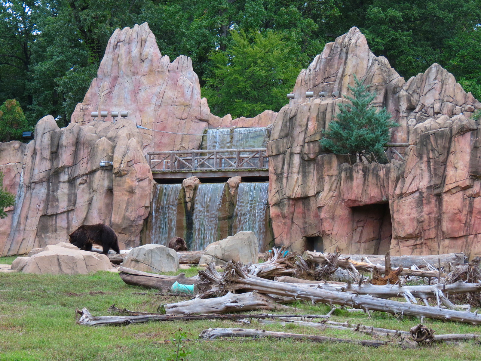 Teton Trek - Grizzly Bear Exhibit