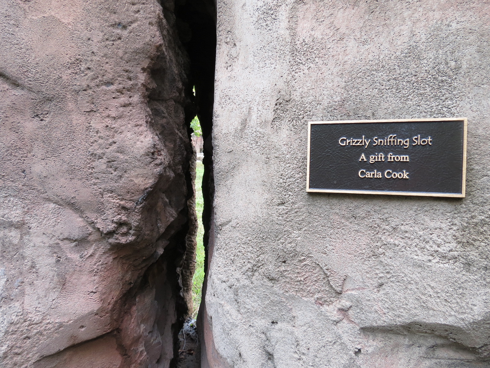Teton Trek - Grizzly Bear Exhibit