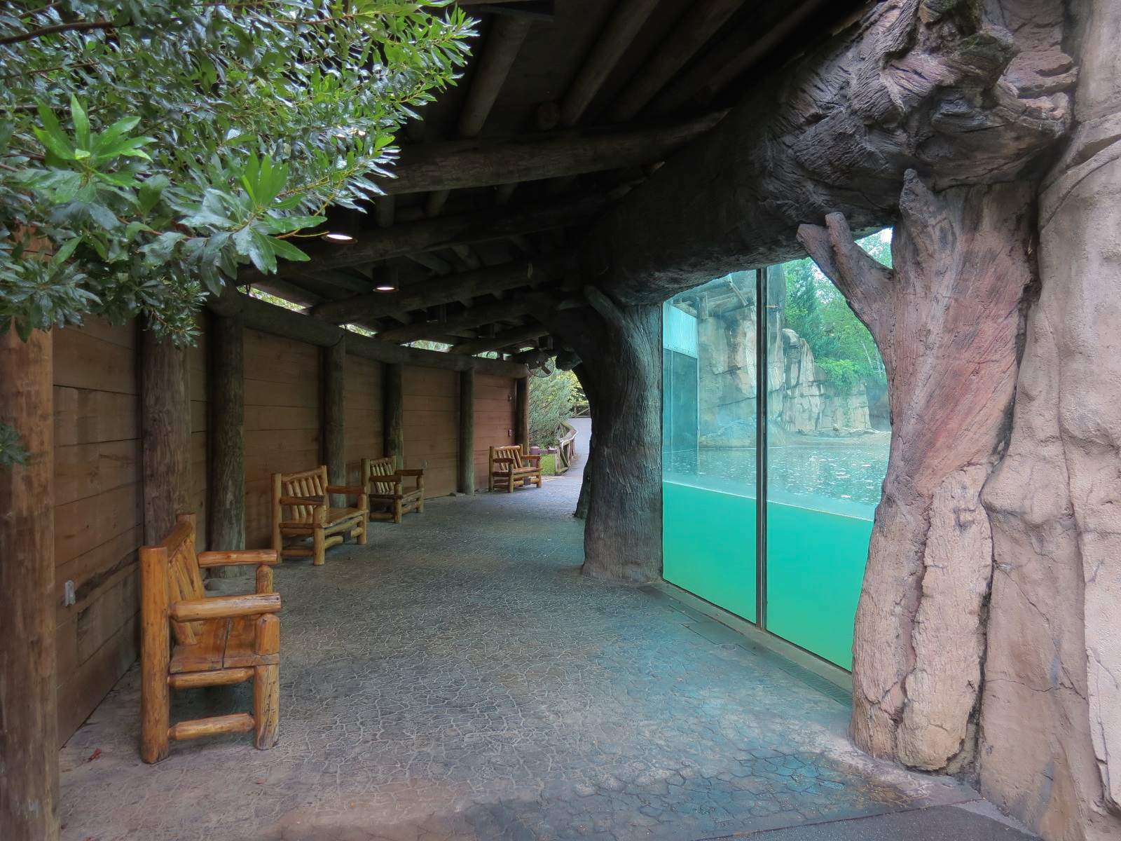 Teton Trek - Grizzly Bear Exhibit