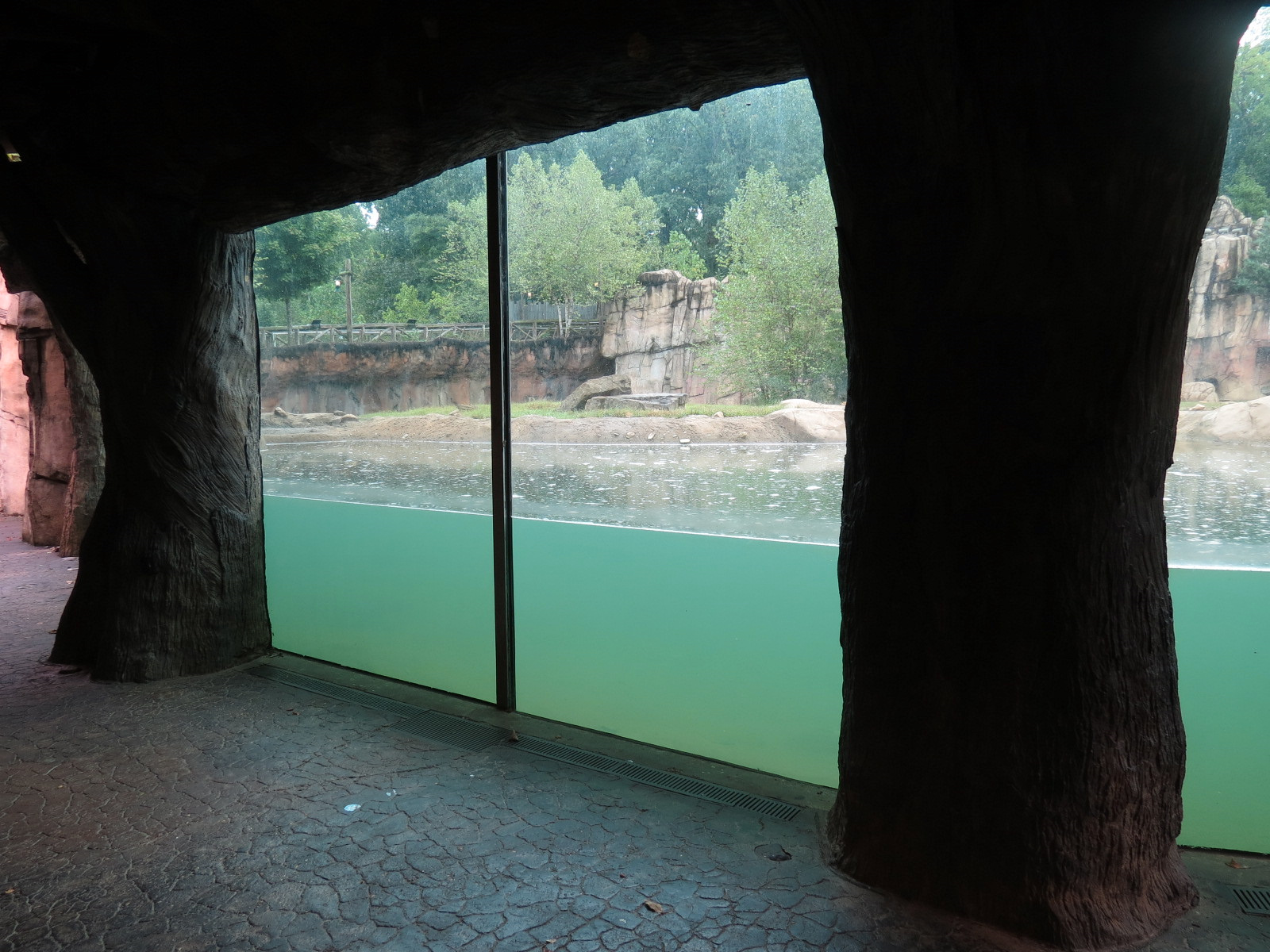 Teton Trek - Grizzly Bear Exhibit