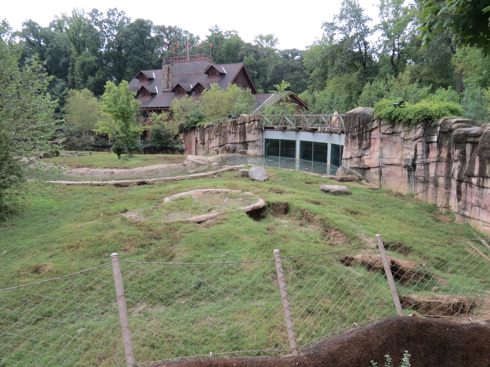 Teton Trek - Grizzly Bear Exhibit