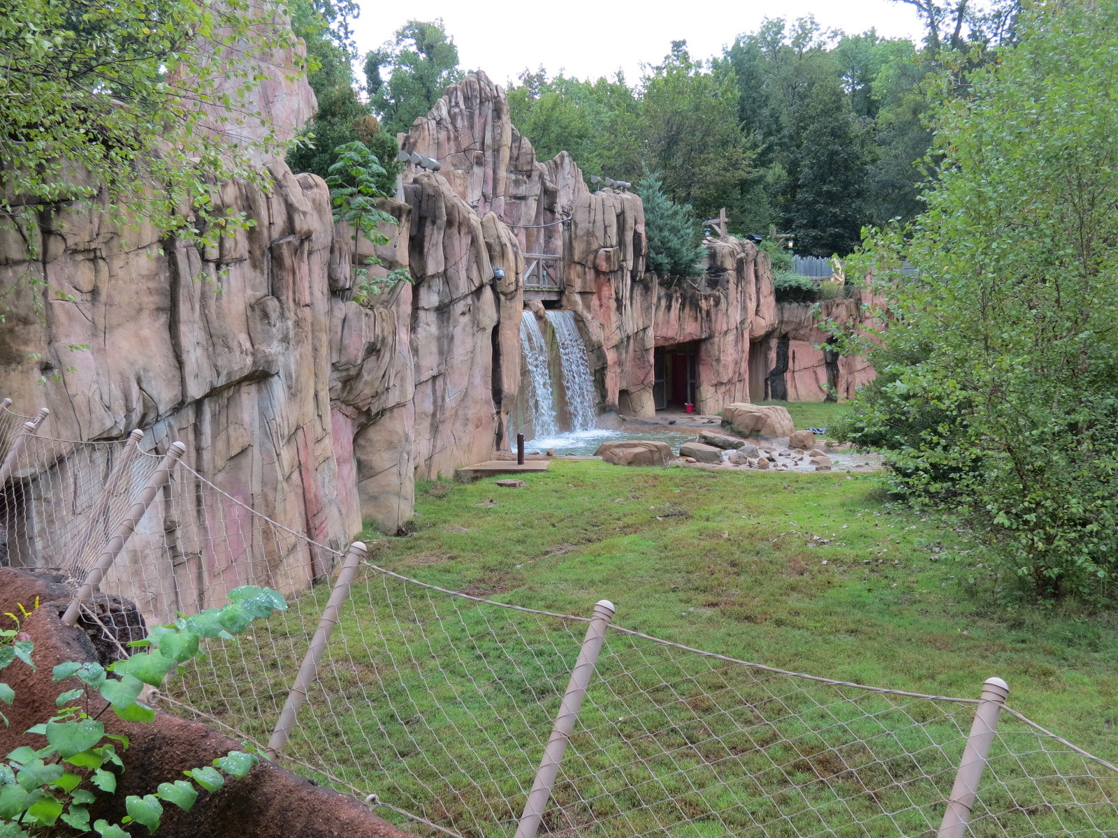 Teton Trek - Grizzly Bear Exhibit