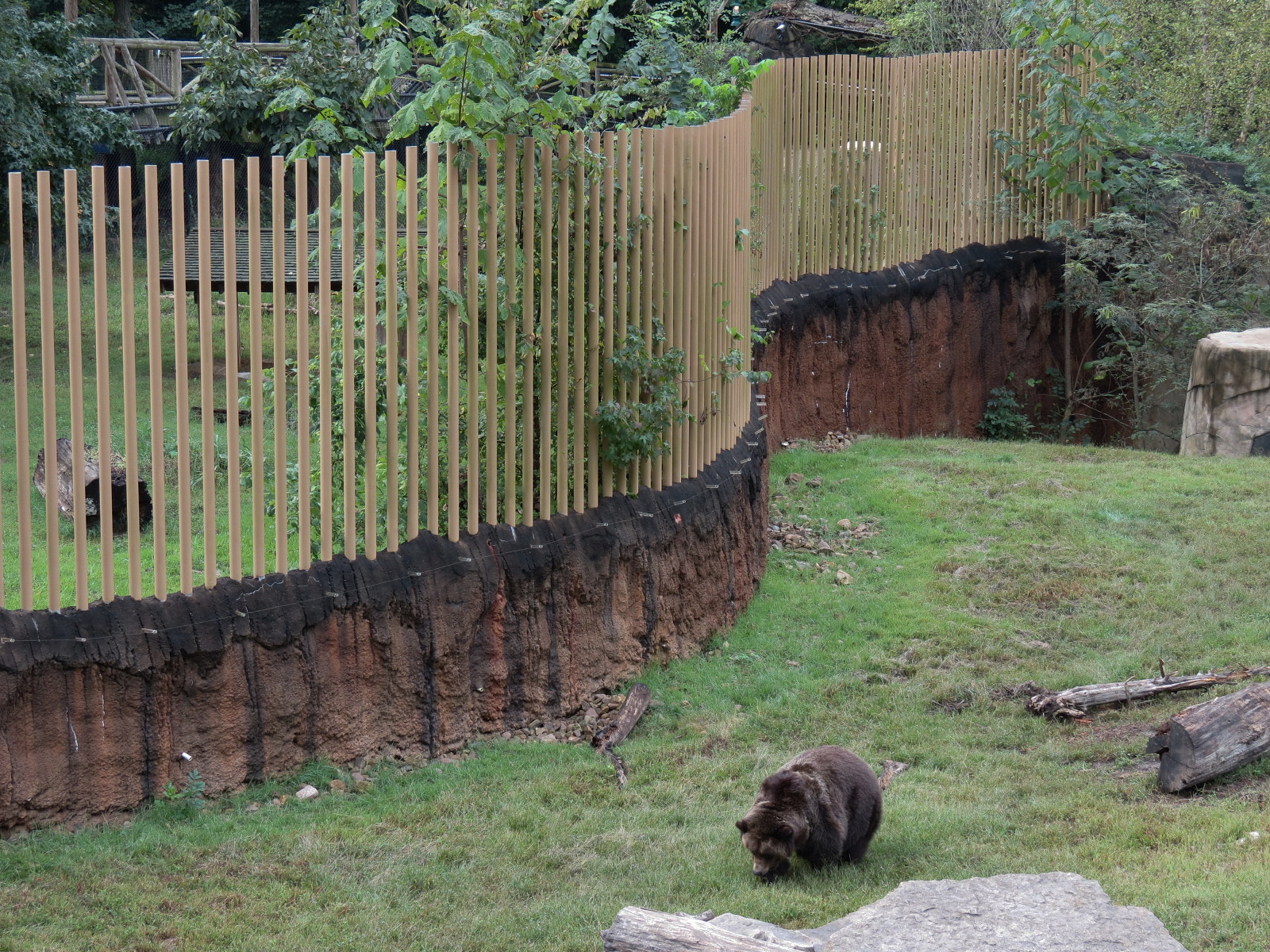Teton Trek - Grizzly Bear Exhibit
