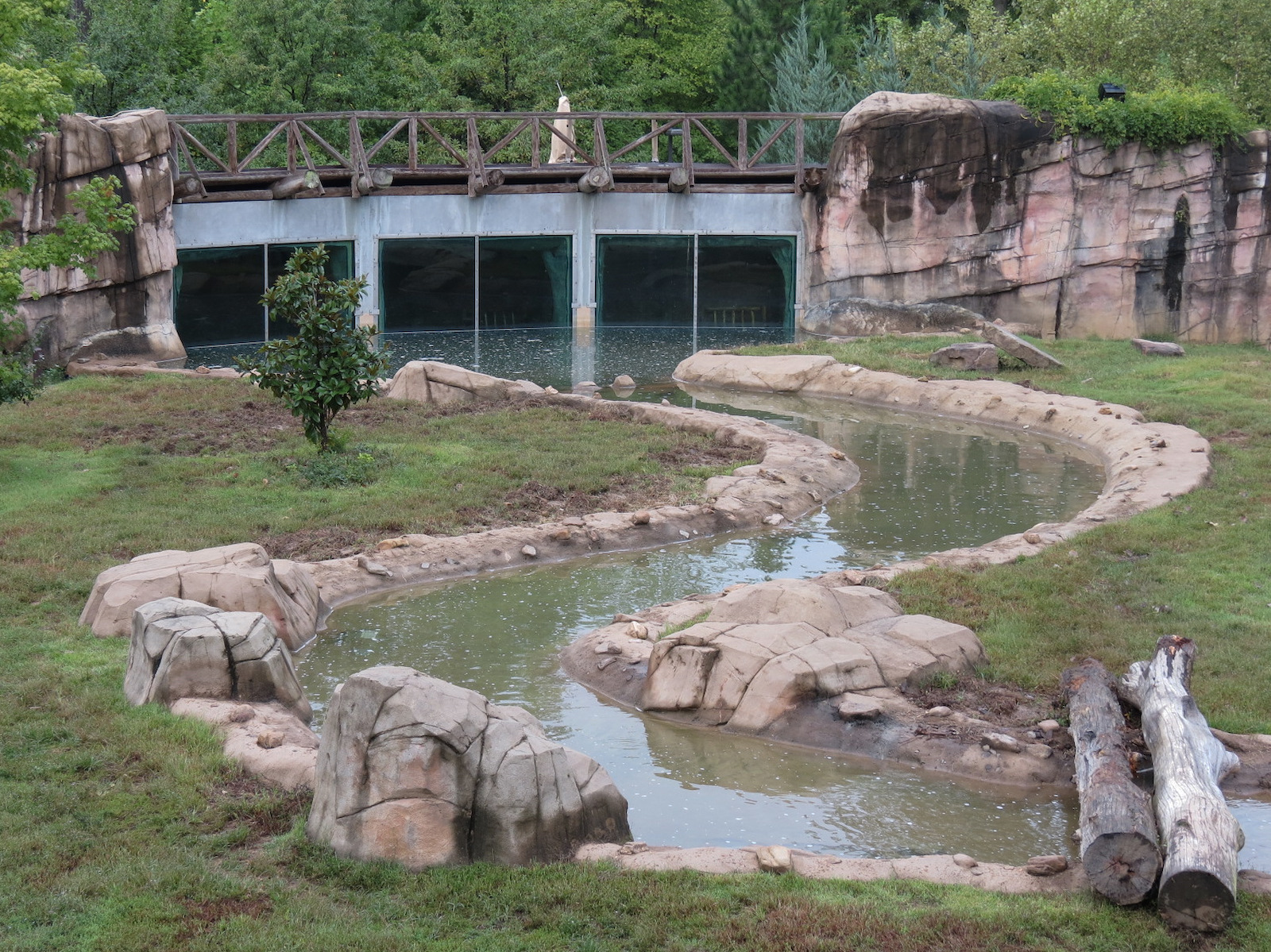 Teton Trek - Grizzly Bear Exhibit