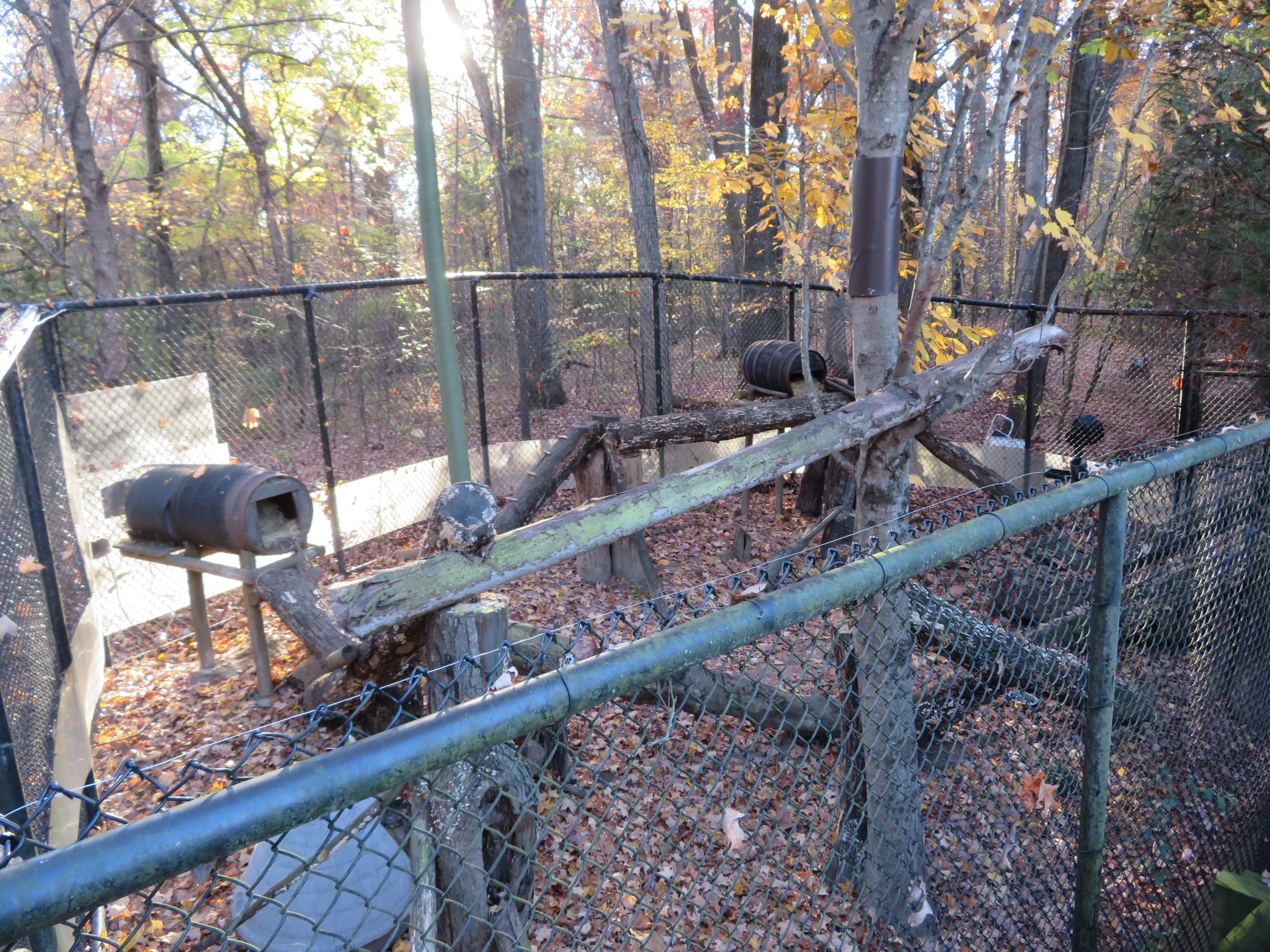 Teton Trek - Porcupine Exhibit