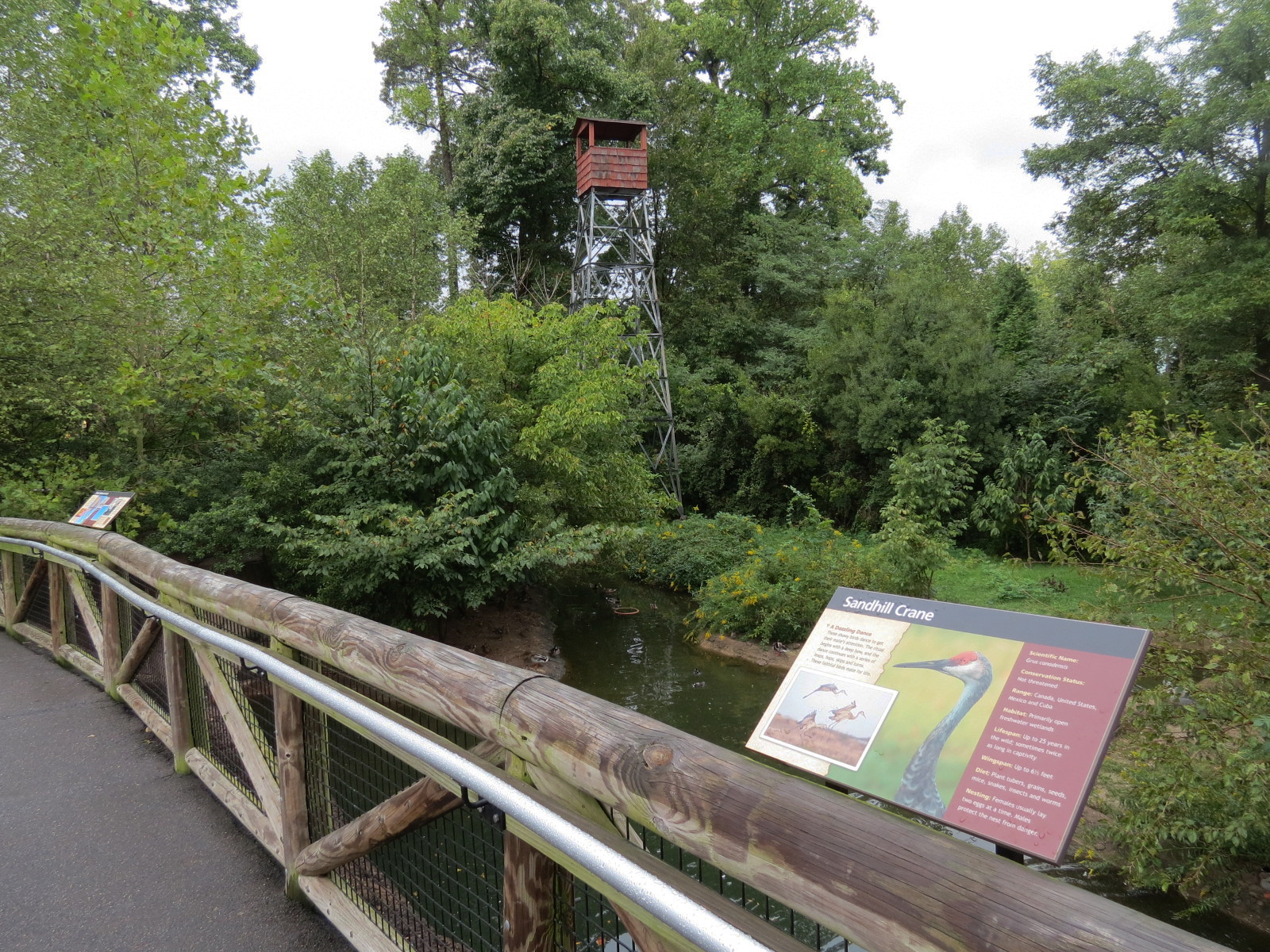 Teton Trek - Sandhill Crane and Waterfowl Exhibit