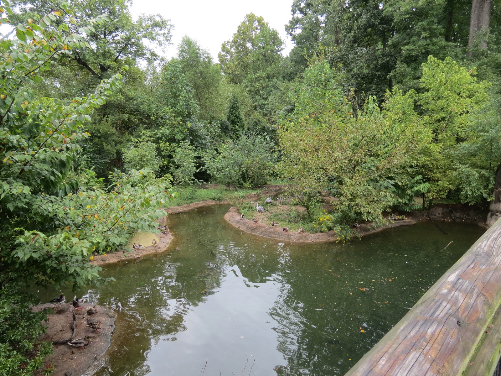 Teton Trek - Sandhill Crane and Waterfowl Exhibit