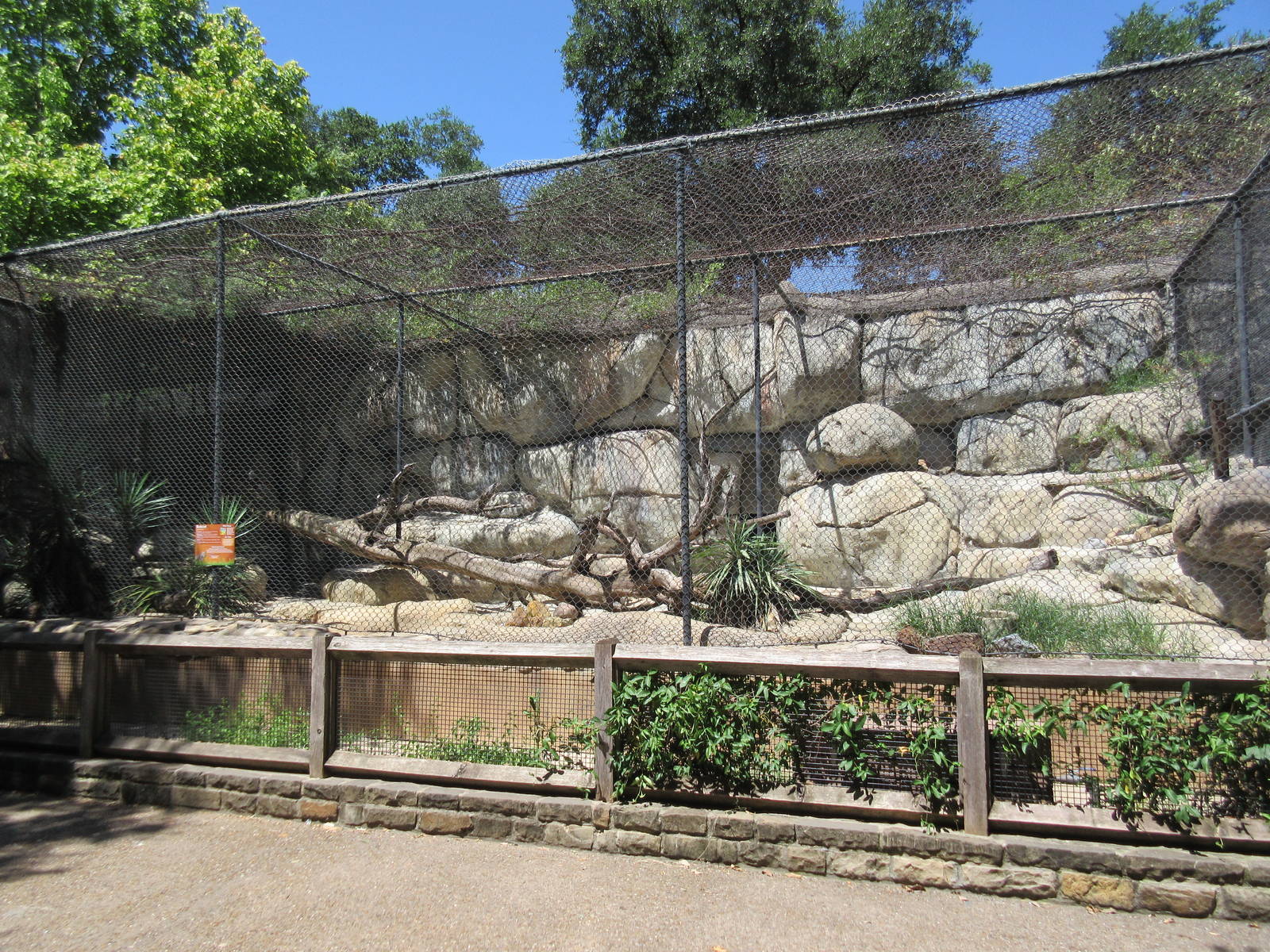 Texas Cats - Bobcat Exhibit