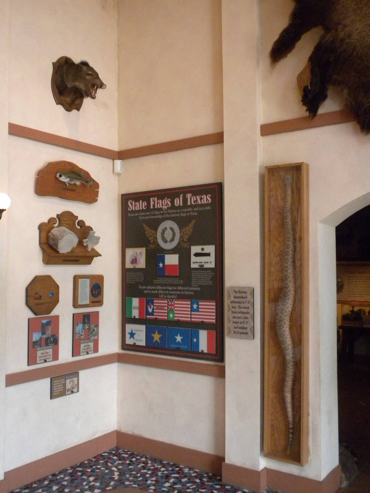 Texas Hall of Wonders