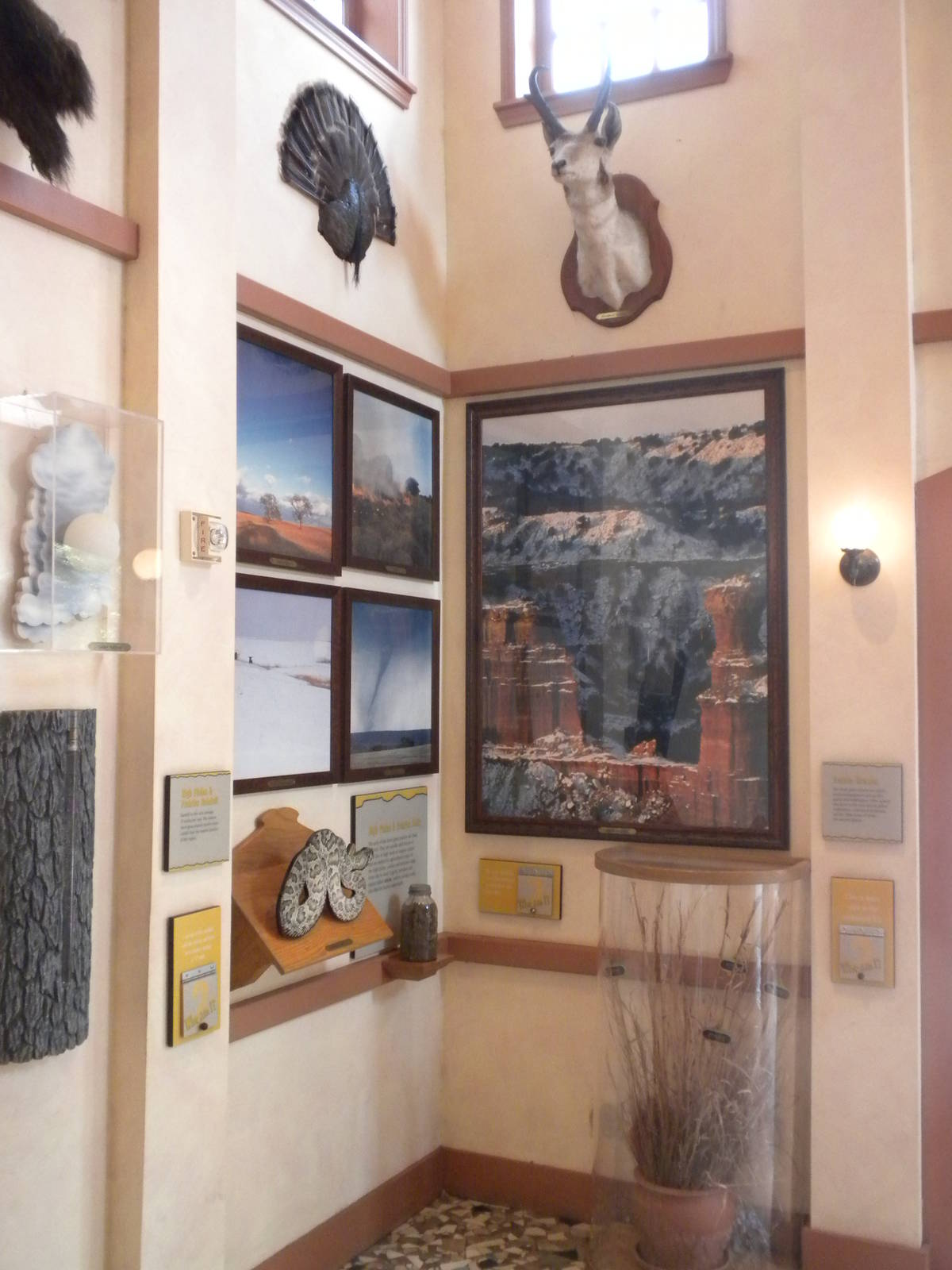 Texas Hall of Wonders