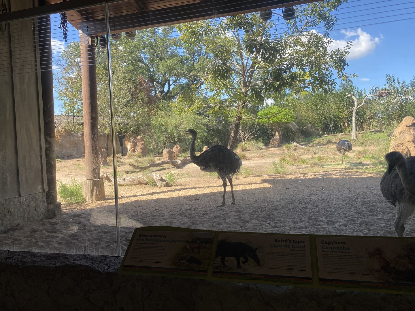 Texas heat wasn’t very kind to the Pantanal