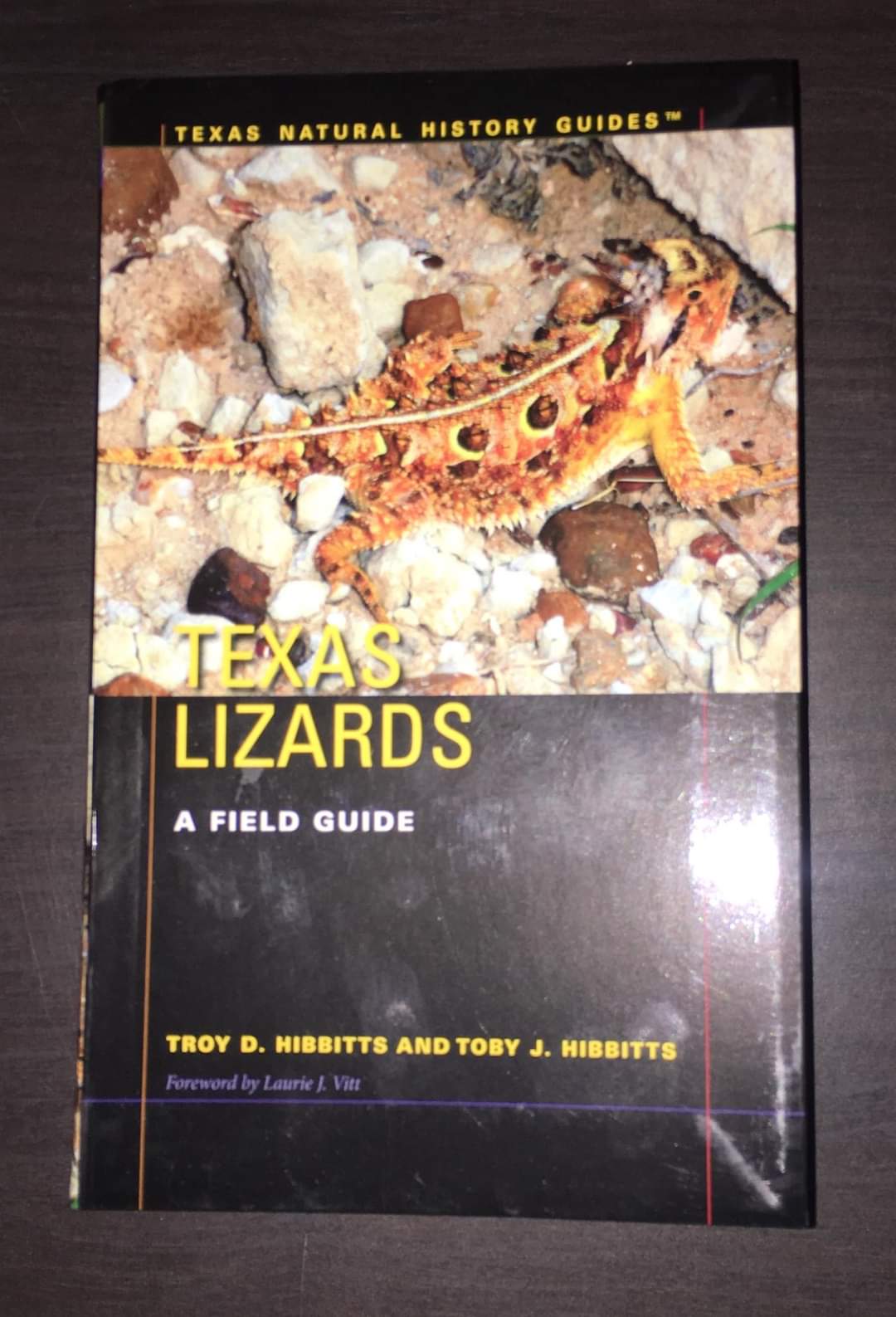 Texas Lizards: A Field Guide