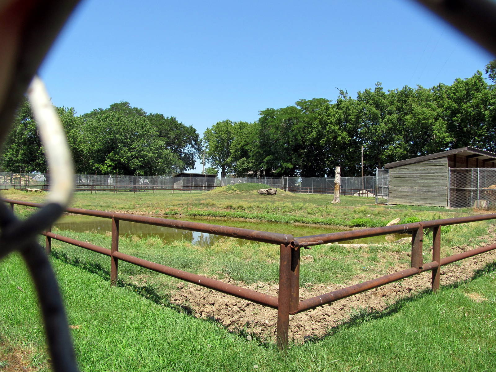 Texas Longhorn Exhibit