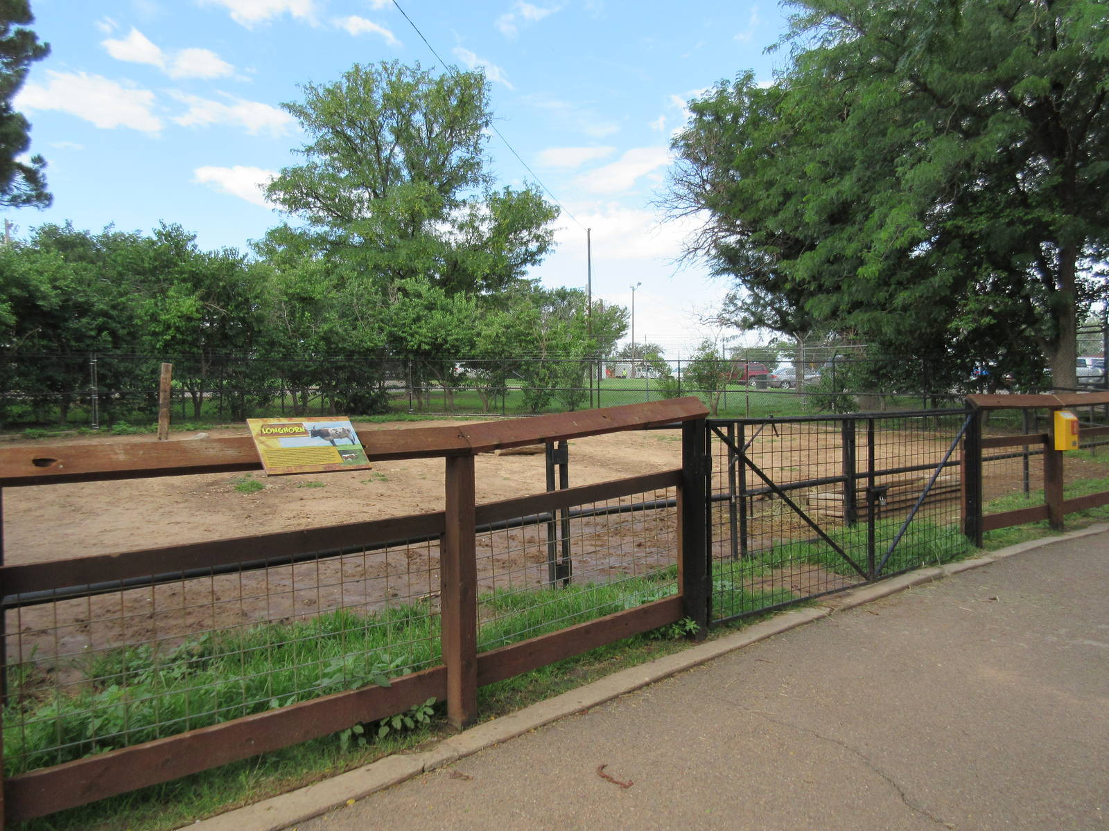 Texas Longhorn Exhibit