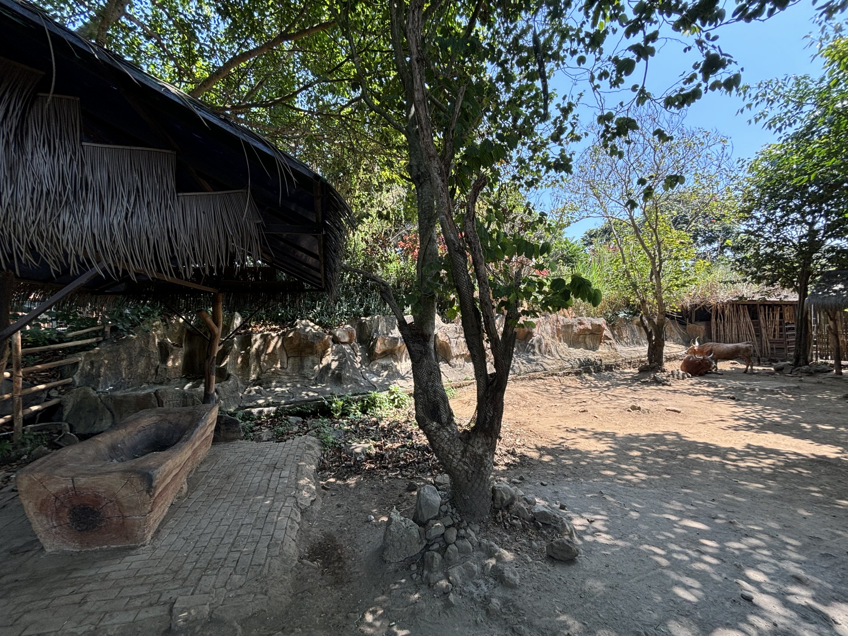 Texas Longhorn Exhibit