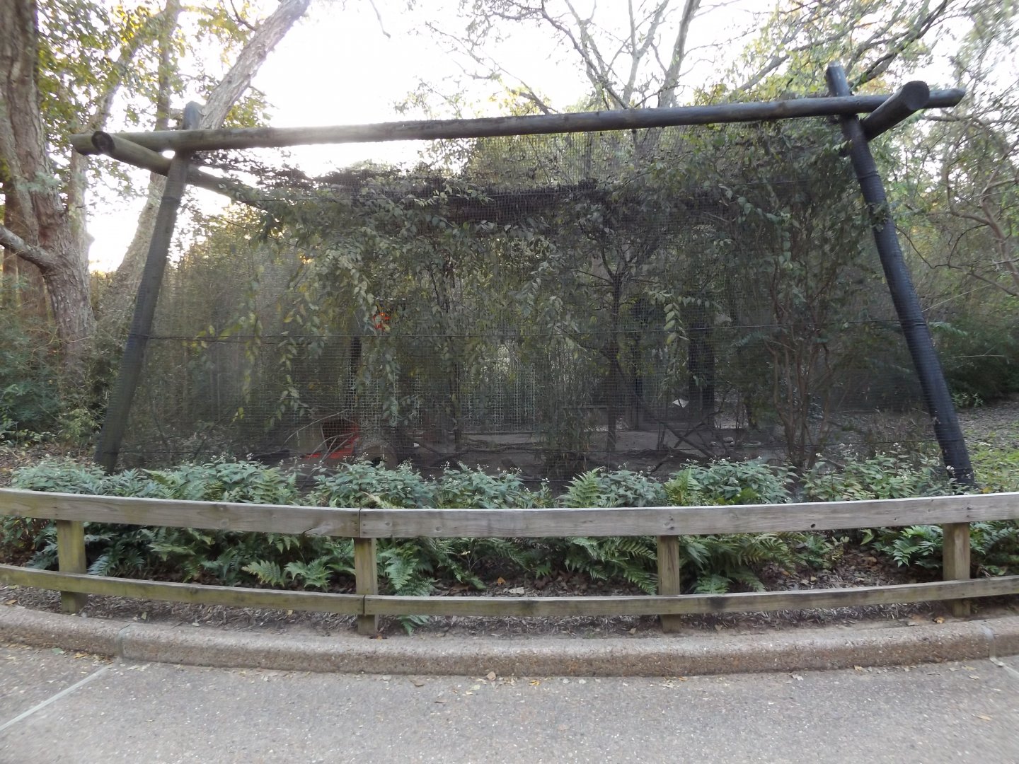 Texas- Mixed Species Aviary