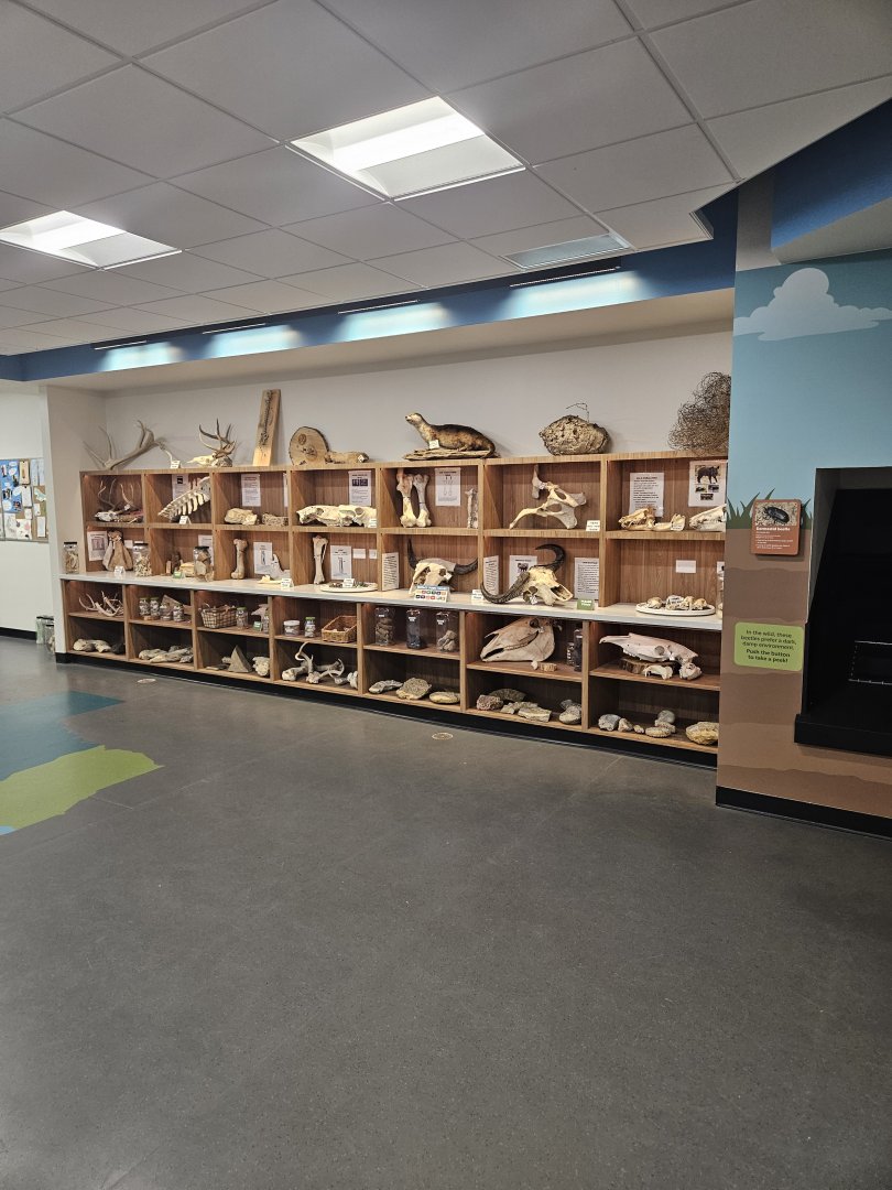 Texas Nature Traders 2