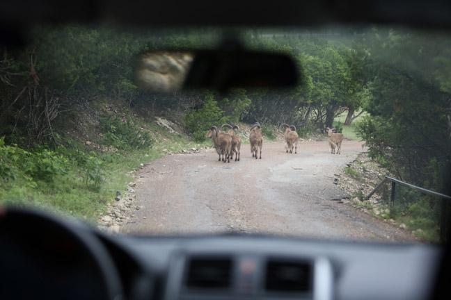 Texas road block